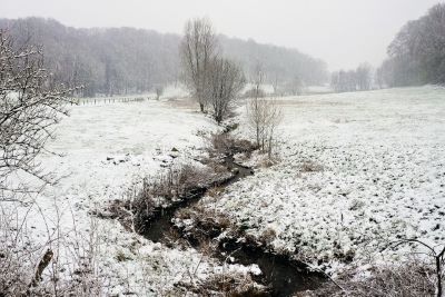 Kou werkt op het hardloperslichaam